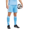 adidas Tiro 24 Trainingsshorts Herren JI6093 - blue burst S