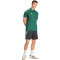 adidas Tiro 25 Competition Poloshirt Herren JY1897 - team dark green XS
