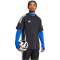 adidas Techfit Cold.Rdy langarm Funktionsshirt Herren JL5634 - team royal blue XS
