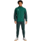 adidas Tiro 25 Competition Präsentationsjacke Herren JI8945 - team dark green/shadow green S