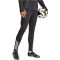 adidas Tiro 25 Competition Trainingshose Herren IW0415 - black/team grey four XS