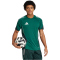adidas Tiro 25 Competition Trainingstrikot Herren JI8942 - team dark green/shadow green XS