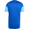 adidas Tiro 25 Competition Trainingstrikot Herren JI6573 - team royal blue/blue burst XS