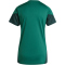 adidas Tiro 25 Competition Trainingstrikot Damen JI8941 - team dark green/shadow green XXS