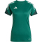adidas Tiro 25 Competition Trainingstrikot Damen JI8941 - team dark green/shadow green XS