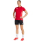 adidas Tiro 25 Competition Trainingshorts Damen JI6486 - black/team power red 2 XXS