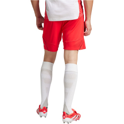 adidas Tiro 25 Pro Trainingshorts Herren JI6460 - pure...