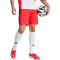 adidas Tiro 25 Pro Trainingshorts Herren JI6460 - pure ruby M
