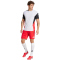 adidas Tiro 25 Pro Trainingshorts Herren JI6460 - pure ruby M