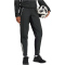 adidas Tiro 25 Competition Präsentationshose Damen IW0406 - black/team grey four XXS