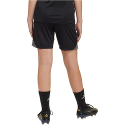 adidas Tiro 25 Competition Trainingsshorts Kinder IW0443 - black/team grey four 116