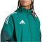 adidas Tiro 25 Competition Allwetterjacke Herren JI8936 - team dark green/shadow green XS