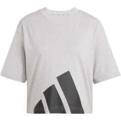 adidas Essentials Big Logo Boyfriend T-Shirt Damen