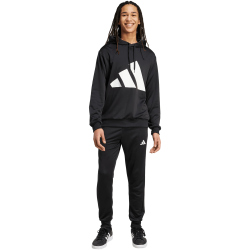 adidas Big Logo French Terry Kapuzen-Trainingsanzug Herren