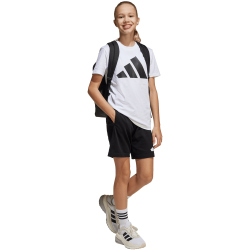 adidas Essentials T-Shirt + Shorts Set Kinder