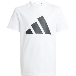 adidas Essentials T-Shirt + Shorts Set Kinder