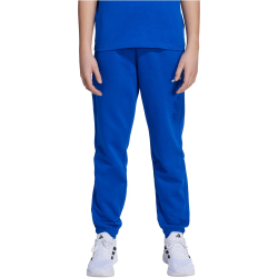 adidas Essentials Trainingshose Kinder