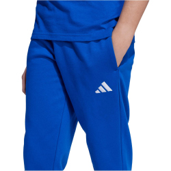 adidas Essentials Trainingshose Kinder
