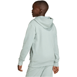 adidas Essentials Hoodie Kinder