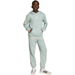 adidas Essentials Hoodie Kinder