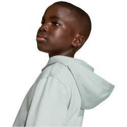 adidas Essentials Hoodie Kinder