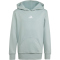 adidas Essentials Hoodie Kinder