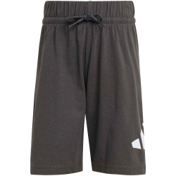 adidas Essentials T-Shirt + Shorts Set Kinder
