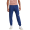 adidas Essentials Big Logo French Terry Jogginghose Herren