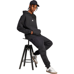 adidas Future Icons Small Logo Hoodie Herren