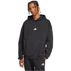 adidas Future Icons Small Logo Hoodie Herren