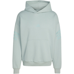 adidas Future Icons 3-Streifen Hoodie Herren