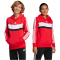 adidas Seasonal Essentials Tiberio 3-Streifen Hoodie Kinder