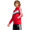 adidas Seasonal Essentials Tiberio 3-Streifen Hoodie Kinder