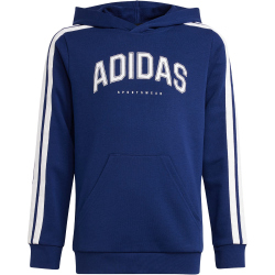 adidas Codes Collegiate Graphic Hoodie Kinder