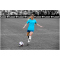 hummel Tech Move Trikot Damen kurzarm grey melange S