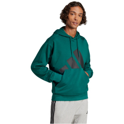 adidas Essentials Big Logo French Terry Hoodie Herren JE8896 - collegiate green/black M