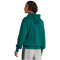 adidas Essentials Big Logo French Terry Hoodie Herren JE8896 - collegiate green/black M