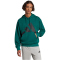 adidas Essentials Big Logo French Terry Hoodie Herren JE8896 - collegiate green/black M