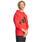 adidas Essentials Big Logo French Terry Hoodie Herren JE8894 - pure ruby/black S