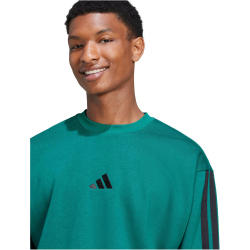 adidas Essentials 3-Streifen Sweatshirt Herren JE6306 - collegiate green/black S
