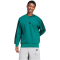adidas Essentials 3-Streifen Sweatshirt Herren JE6306 - collegiate green/black S