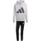 adidas Big Logo French Terry Kapuzen-Trainingsanzug Herren JI8870 - medium grey heather S