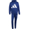 adidas Big Logo French Terry Kapuzen-Trainingsanzug Herren JC5389 - dark blue XS