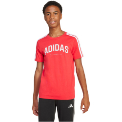 adidas Codes Collegiate Graphic T-Shirt Kinder JI6673 - pure ruby 128