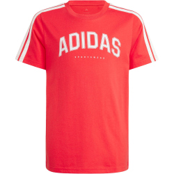 adidas Codes Collegiate Graphic T-Shirt Kinder JI6673 -...