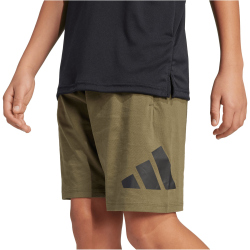 adidas Essentials Sweatshorts Kinder JD2088 - olive strata/black 128