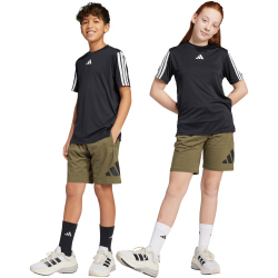 adidas Essentials Sweatshorts Kinder JD2088 - olive...