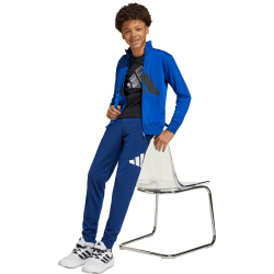 adidas Essentials Climacool Trainingsanzug Kinder JC9712...