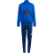 adidas Essentials Climacool Trainingsanzug Kinder JC9712 - team royal blue/black 128