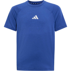 adidas All Sports Favorite T-Shirt Jungen JD0135 - team royal blue/dark blue/reflective silver 128